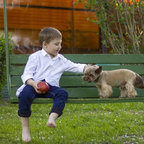 Photo #6152252