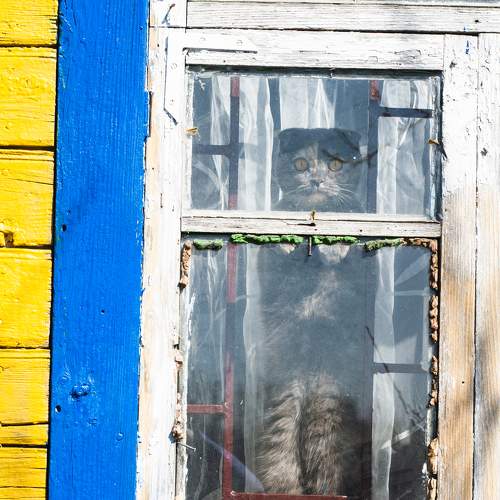 Photo #6152366