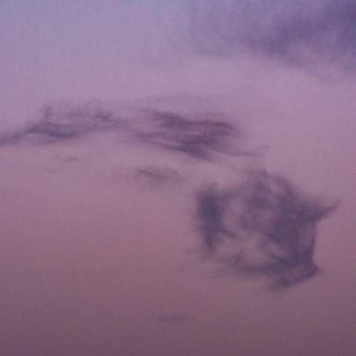Photo #6152510