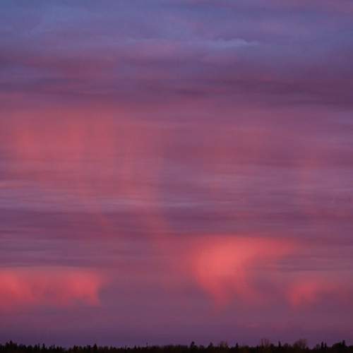 Photo #6152511
