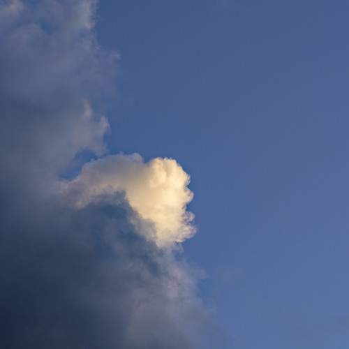 Photo #6152512