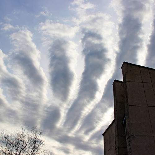 Photo #6152717