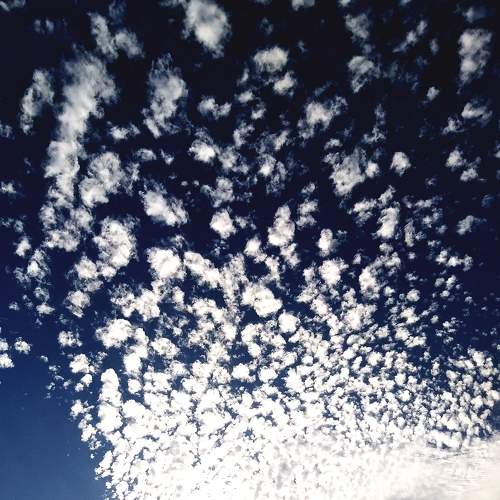 Photo #6153151