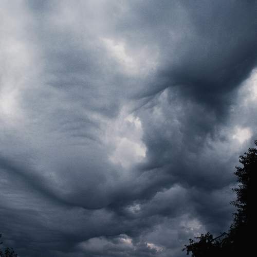 Photo #6153196