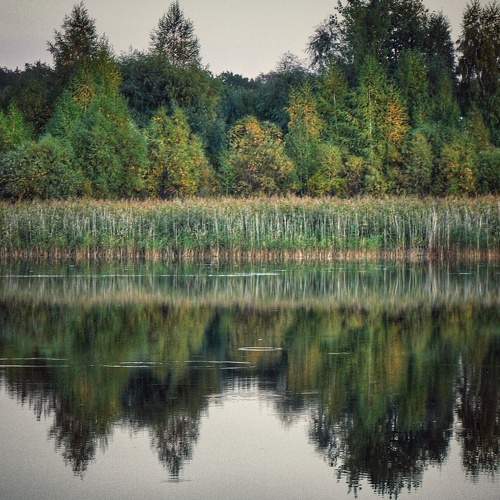 Photo #6153217