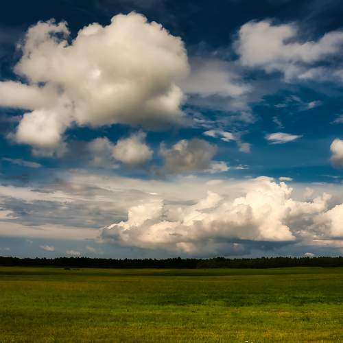 Photo #6153483