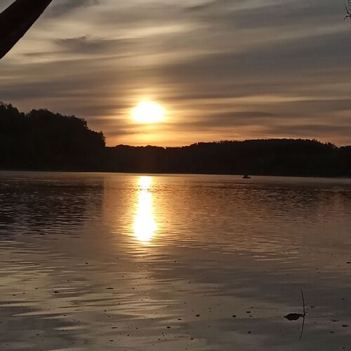 Photo #6153796