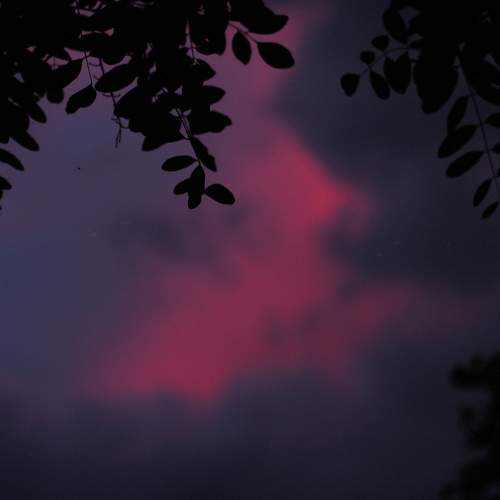 Photo #6153901