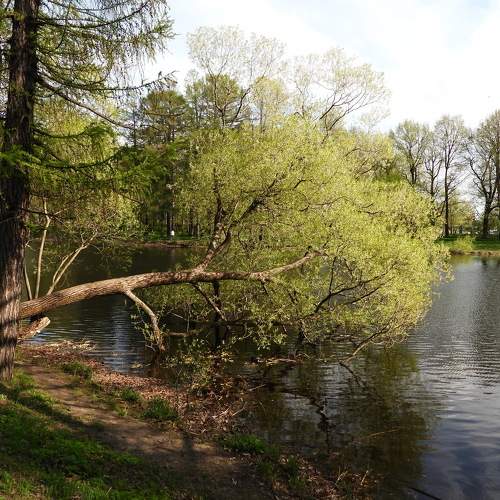 Photo #6154099