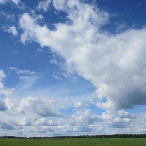 Photo #6154107