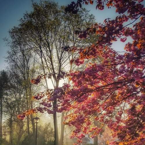 Photo #6154338