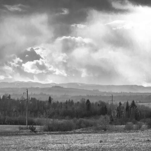 Photo #6154378