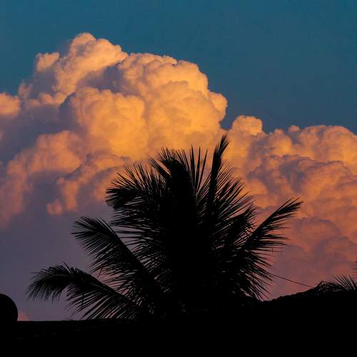 Photo #6154402