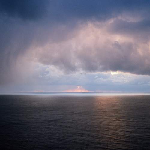 Photo #6154481