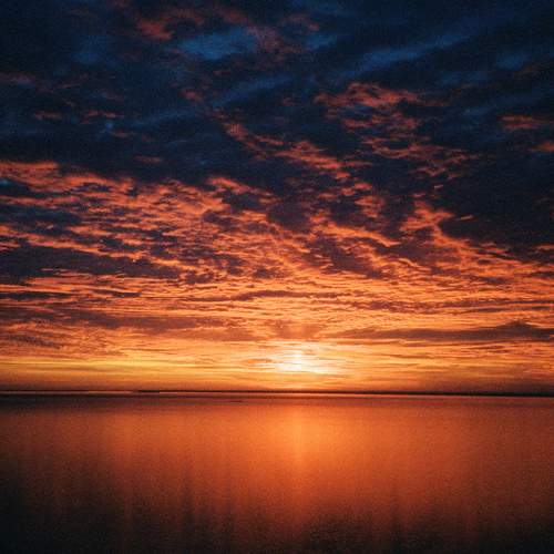 Photo #6154508