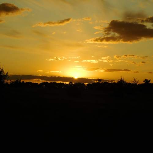 Photo #6154573