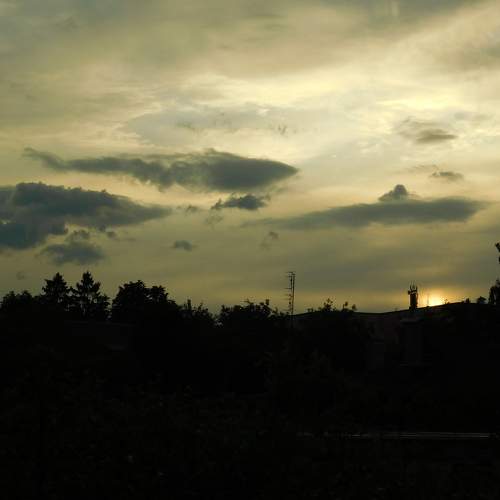 Photo #6154574