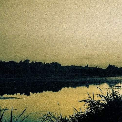 Photo #6154592