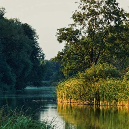 Photo #6154642