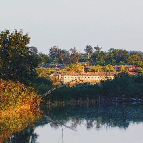 Photo #6154643