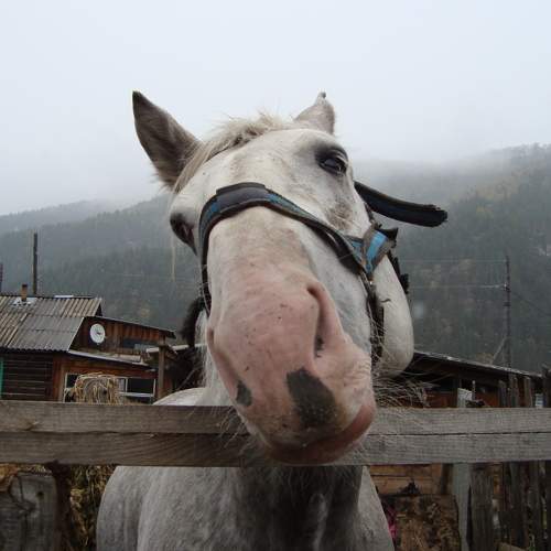 Photo #6154659