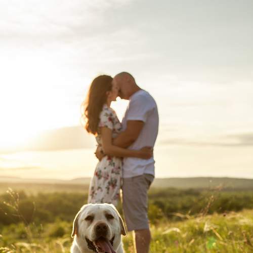 Photo #6154835