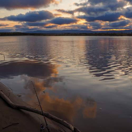Photo #6154877