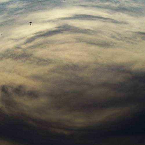 Photo #6154881