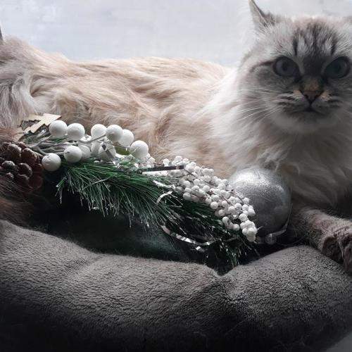 Photo #6155219