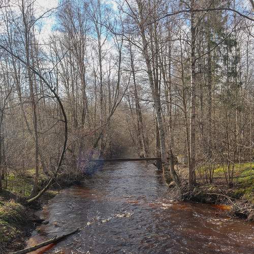 Photo #6155396