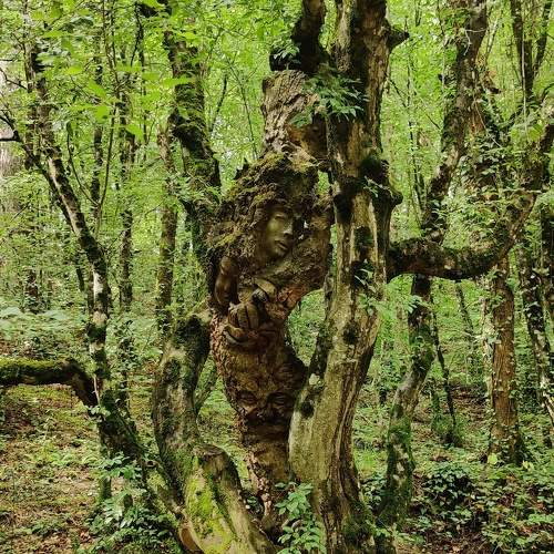 Photo #6155519