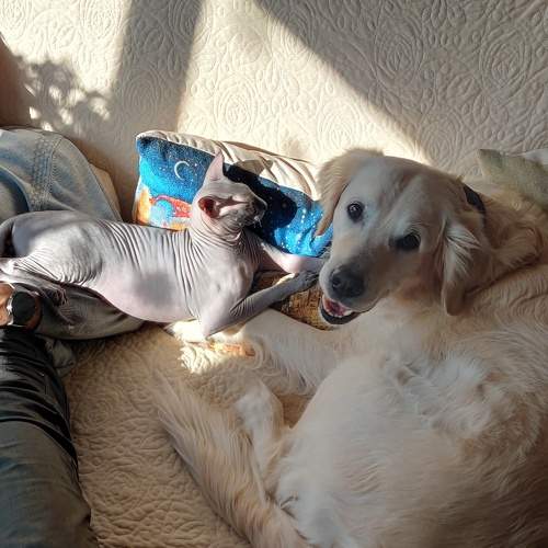 Photo #6155531