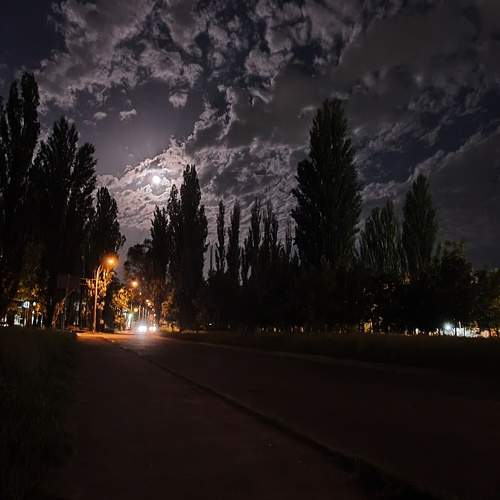 Photo #6155559