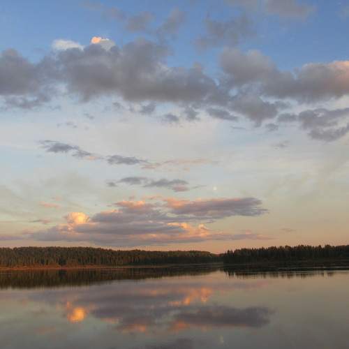 Photo #6155639