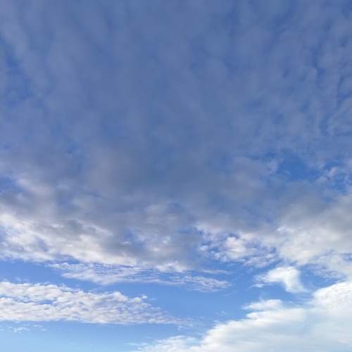 Photo #6155659