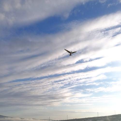 Photo #6155676