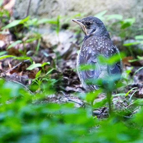 Photo #6155818