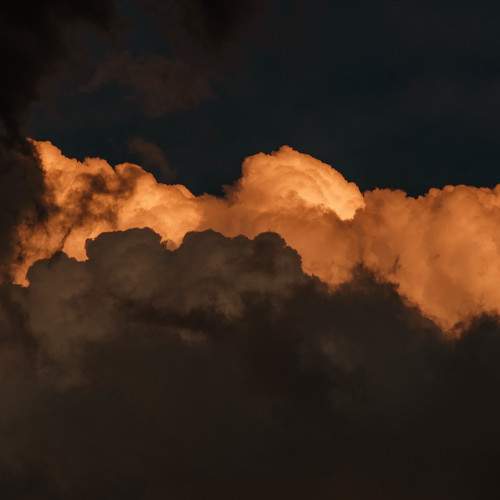 Photo #6155846