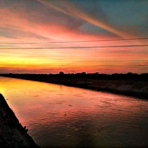 Photo #6155848
