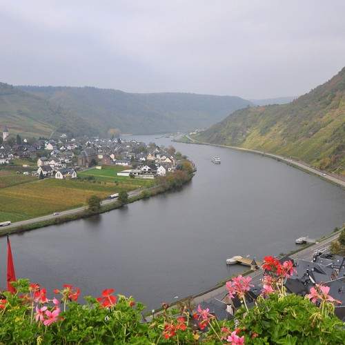 Photo #6156428