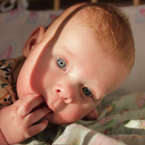 Photo #6156473