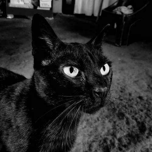 Photo #6156503