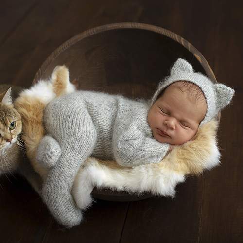 Photo #6156925