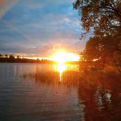 Photo #6157030