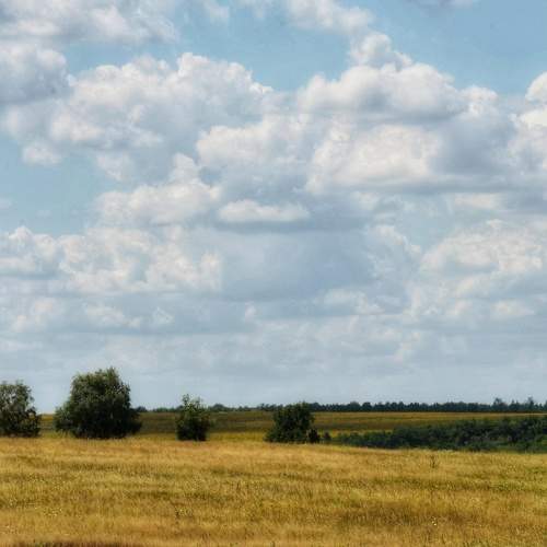 Photo #6157136