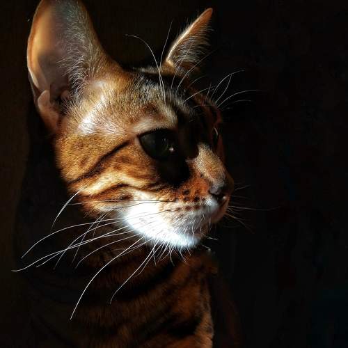 Photo #6157155