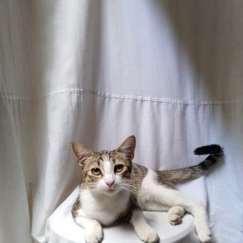 Photo #6157572