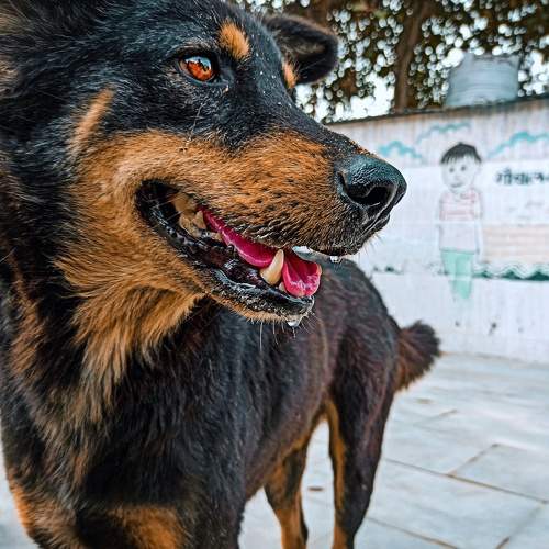 Photo #6157757