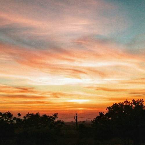Photo #6157779