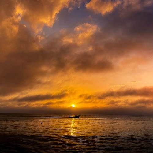 Photo #6157802